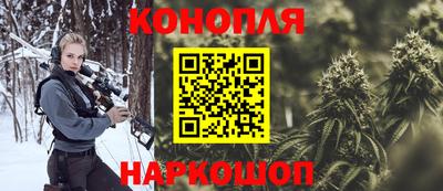 эйфоретик Кингисепп